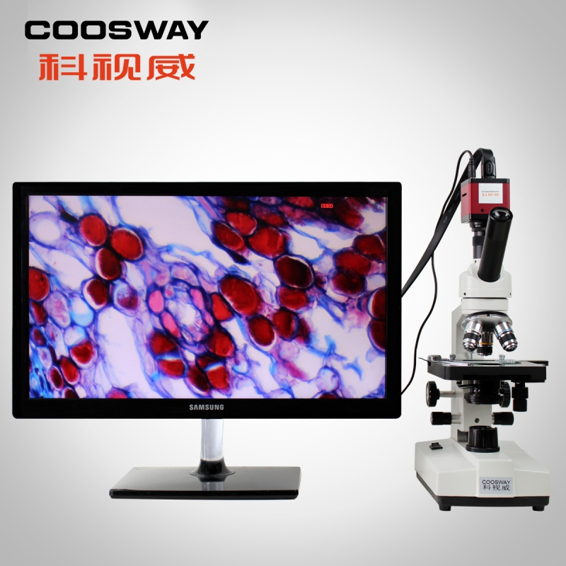 CSW-32TV