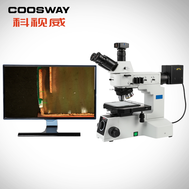 CSW-S600BD